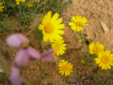dscn1617