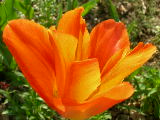 dscn1766