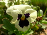 dscn1768