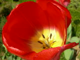 dscn1774