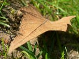 dscn1777
