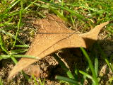 dscn1778