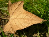 dscn1779
