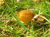 dscn1788