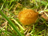 dscn1789