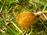 dscn1790