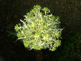 dscn1795