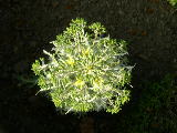 dscn1796