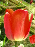 dscn1799