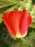 dscn1800