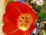 dscn1802