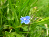 dscn1816