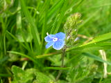 dscn1817