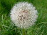 dscn1818