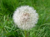 dscn1819