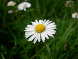 dscn1820