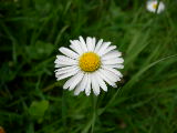 dscn1821