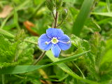 dscn1822