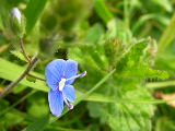 dscn1823