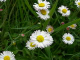 dscn1834
