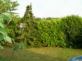 DSCN1993