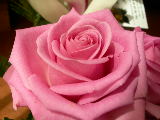 DSCN2033