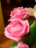 DSCN2038