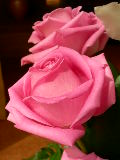 DSCN2039
