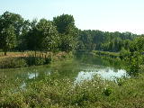 DSCN0722