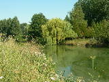 DSCN0723