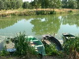 DSCN0725