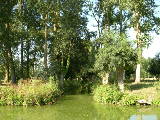 DSCN0732