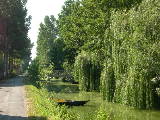 DSCN0734