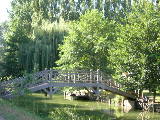 DSCN0736