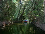 DSCN0740