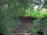 DSCN0750