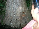 DSCN0751
