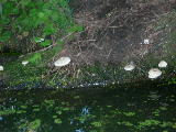 DSCN0754