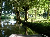 DSCN0756