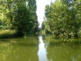 DSCN0760