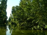 DSCN0761