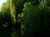 DSCN0763