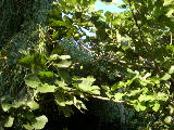 DSCN0765
