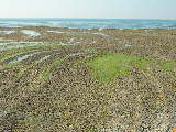 DSCN0782