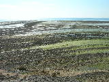 DSCN0785
