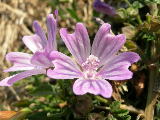 DSCN0789