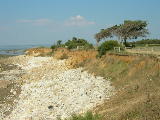 DSCN0791