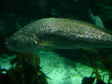 DSCN0803