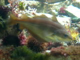 DSCN0808
