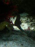 DSCN0810